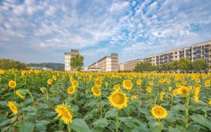 裝空調(diào)步驟怎么放空氣_裝空調(diào)步驟